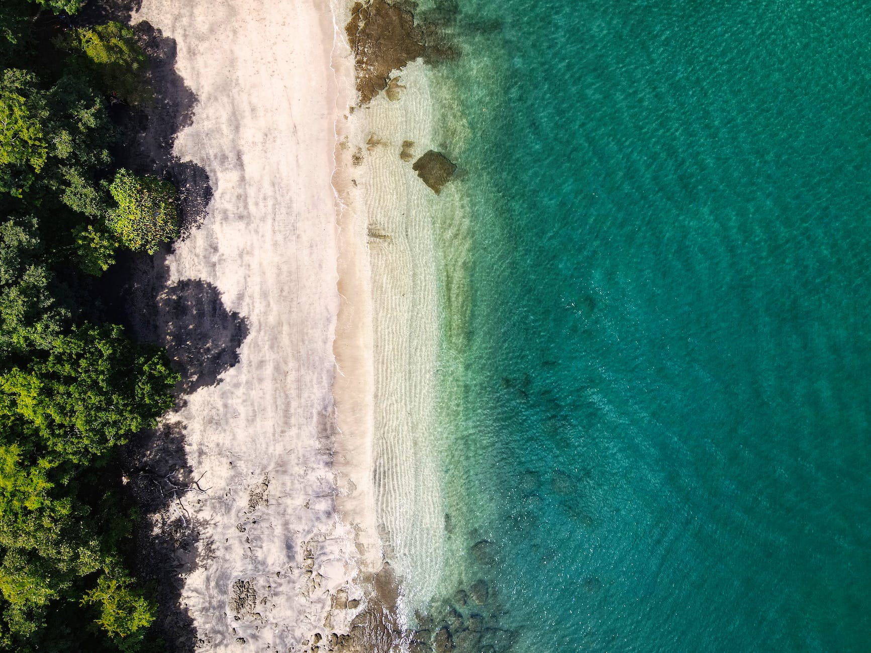 aerial photography of a beach